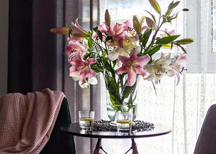 We Wroclawiu - Jaworska * فروتسواف